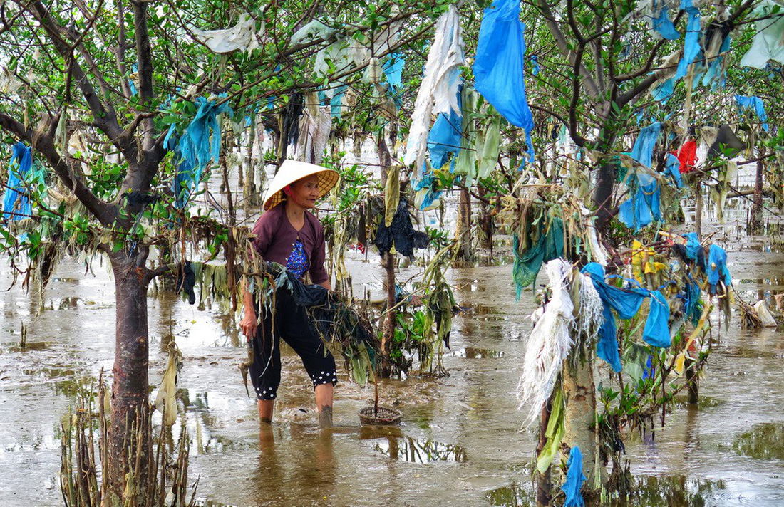 Kinh[-]hoàng[-]biển…[-]rác[-]ở[-]Hậu[-]Lộc,[-]Thanh[-]Hóa